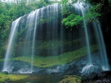 salut a tous le monde